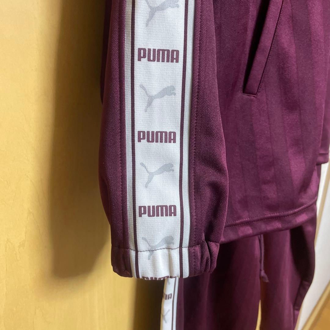 PUMA バーガンディ ジャージ上下セット