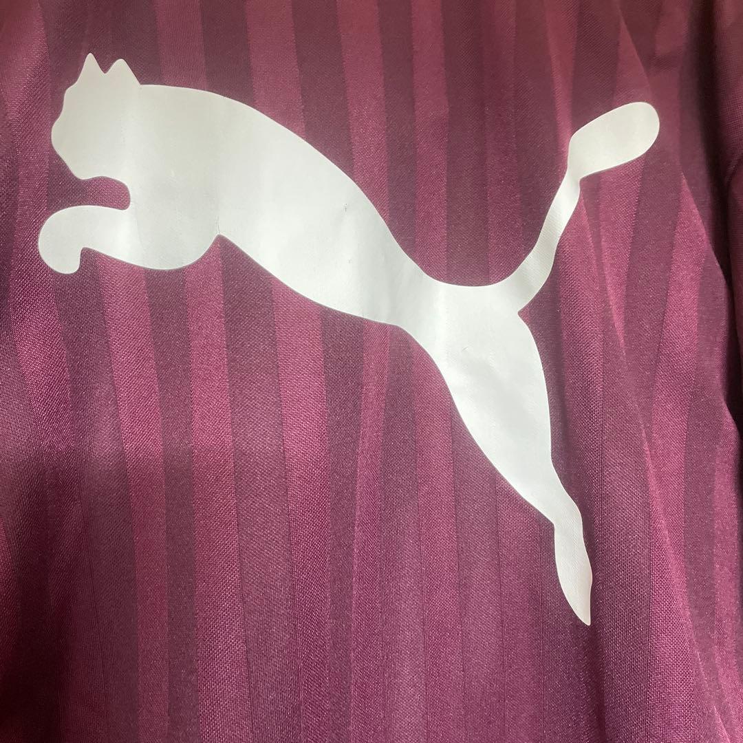 PUMA バーガンディ ジャージ上下セット