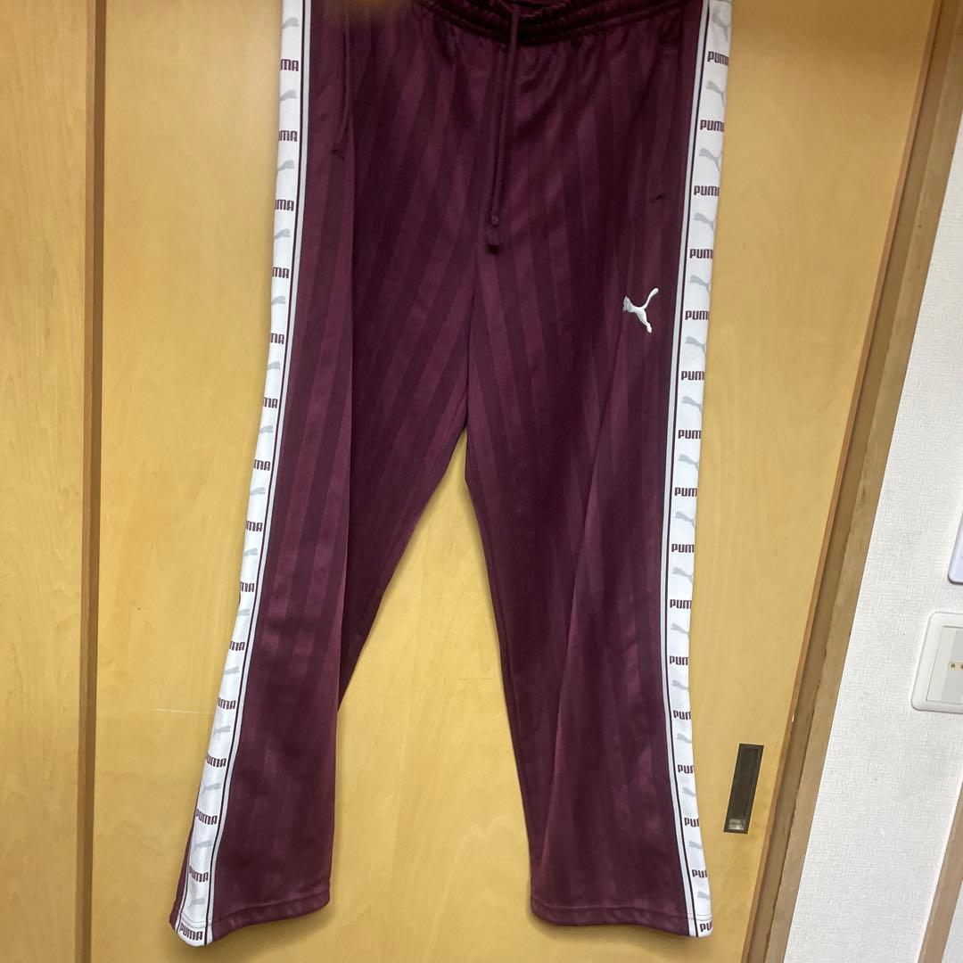 PUMA バーガンディ ジャージ上下セット