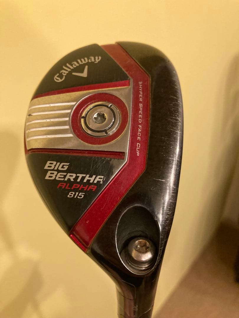 【ゴルフデビューに◎】Callaway Warbird メンズクラブセット