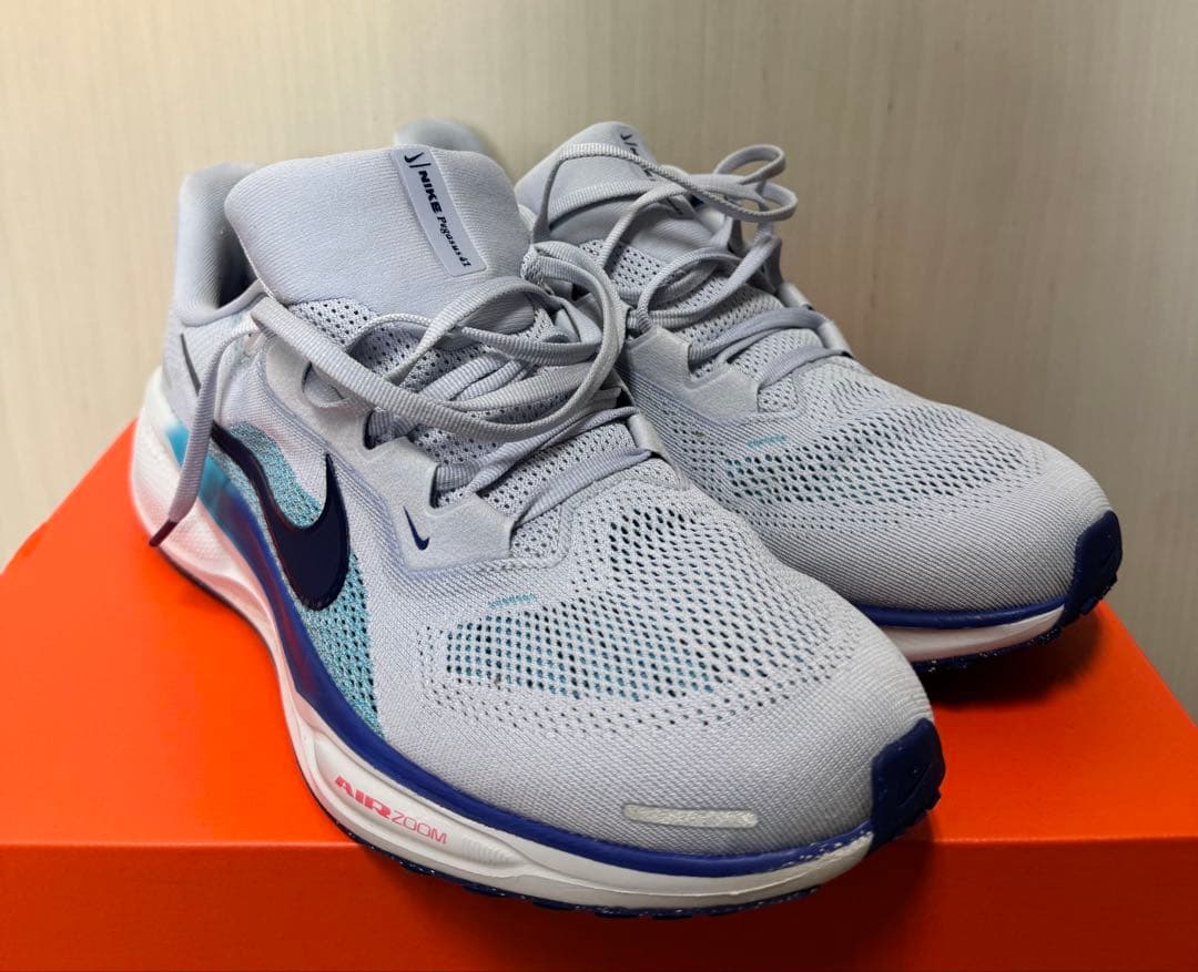 NIKE ペガサス41