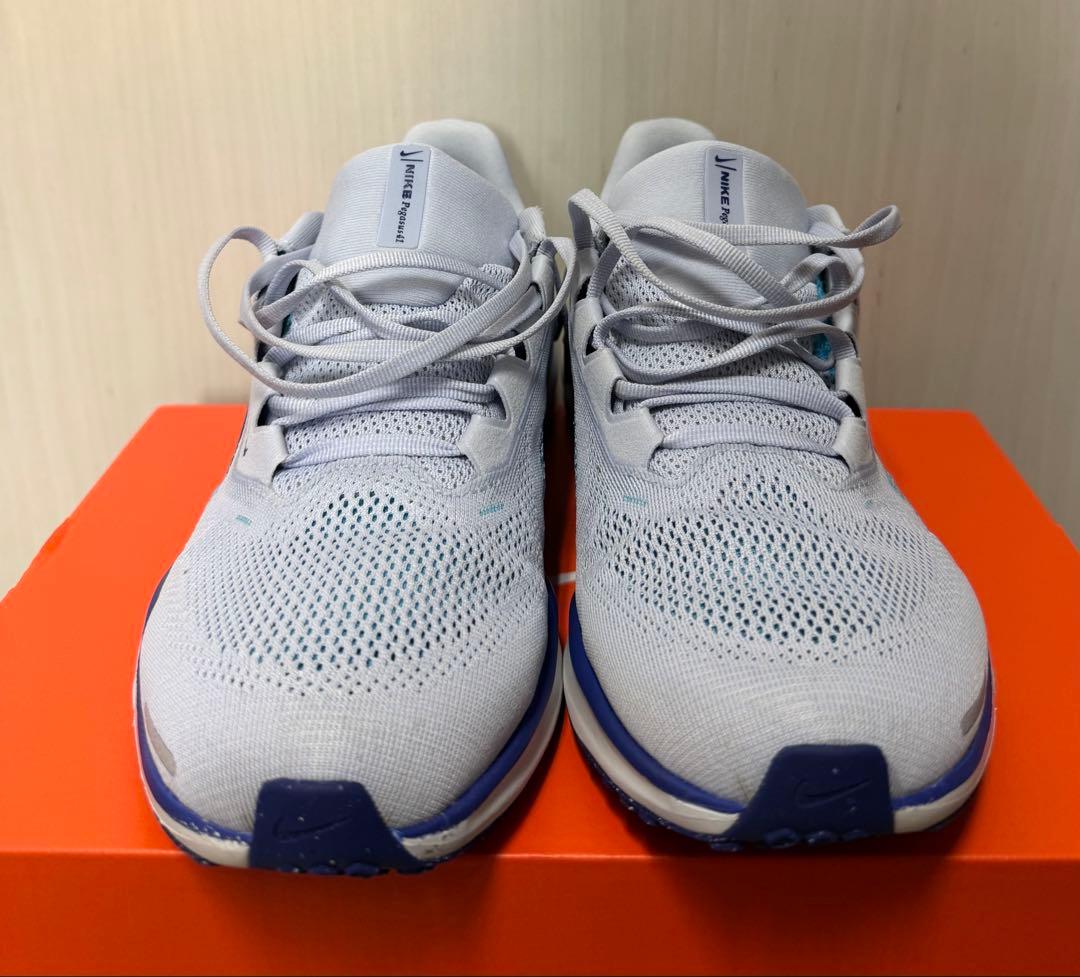 NIKE ペガサス41