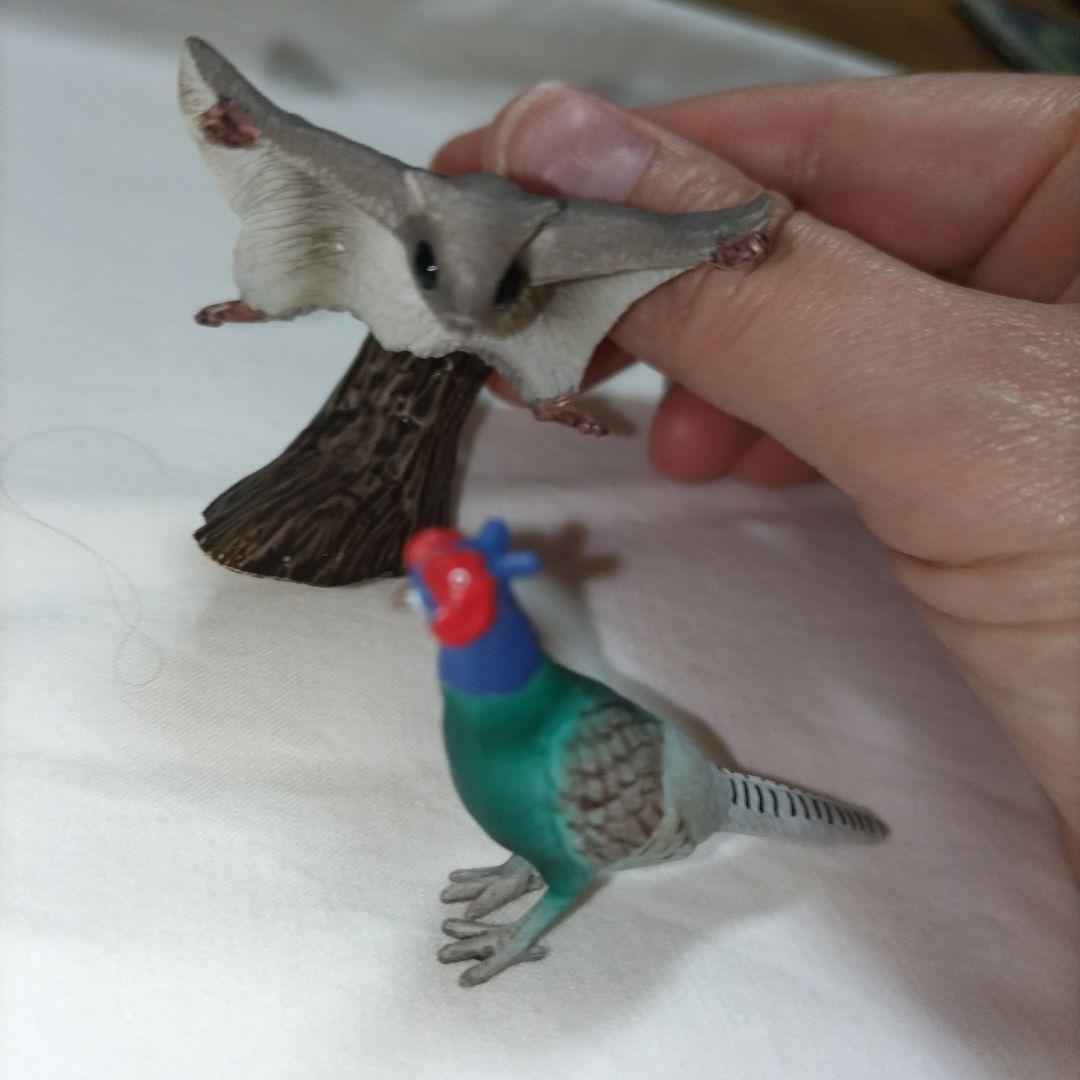 Tsuyuki　Schleich　シュライヒ　25体