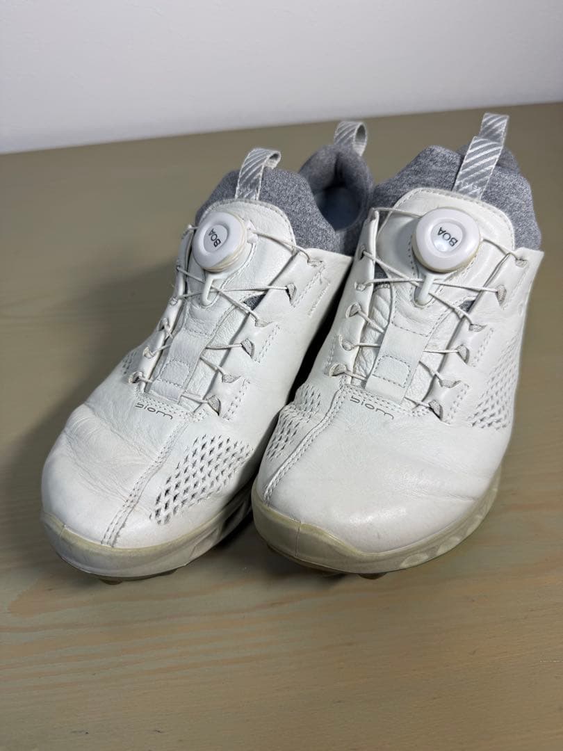 ECCO エコー ゴルフシューズ BIOM G5 BOA ゴアテックス 40