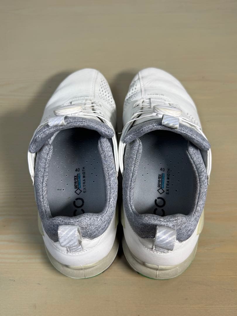 ECCO エコー ゴルフシューズ BIOM G5 BOA ゴアテックス 40