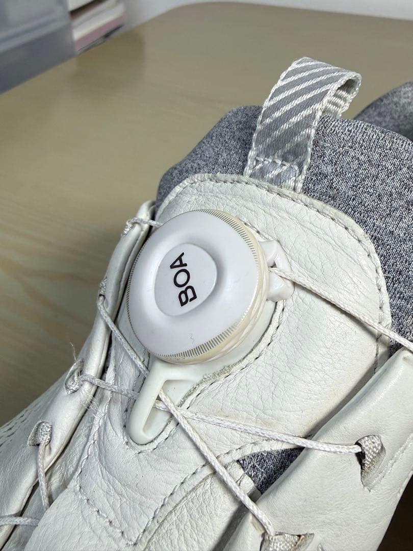 ECCO エコー ゴルフシューズ BIOM G5 BOA ゴアテックス 40