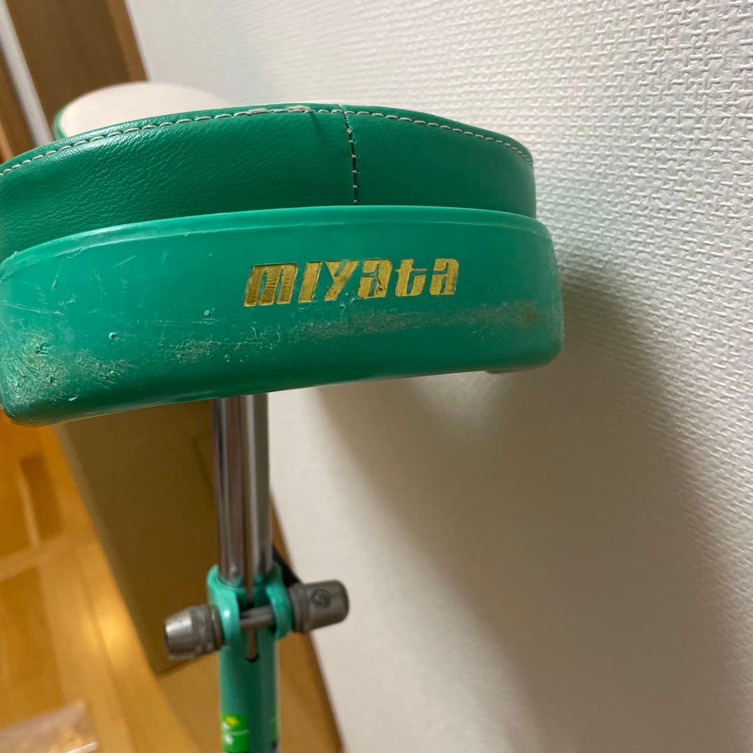 MIYATA 競技用一輪車　フラミンゴ20インチ