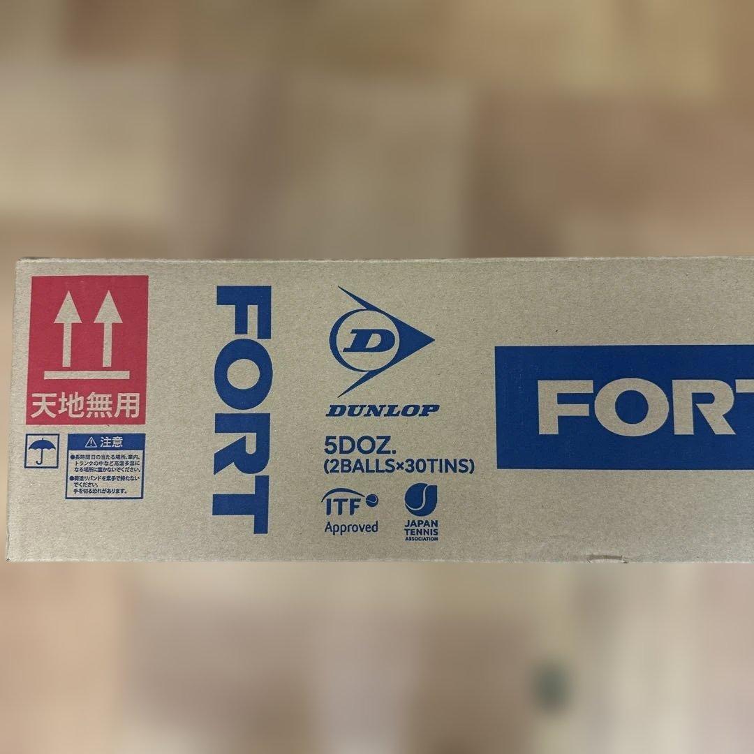 ボール DUNLOP FORT