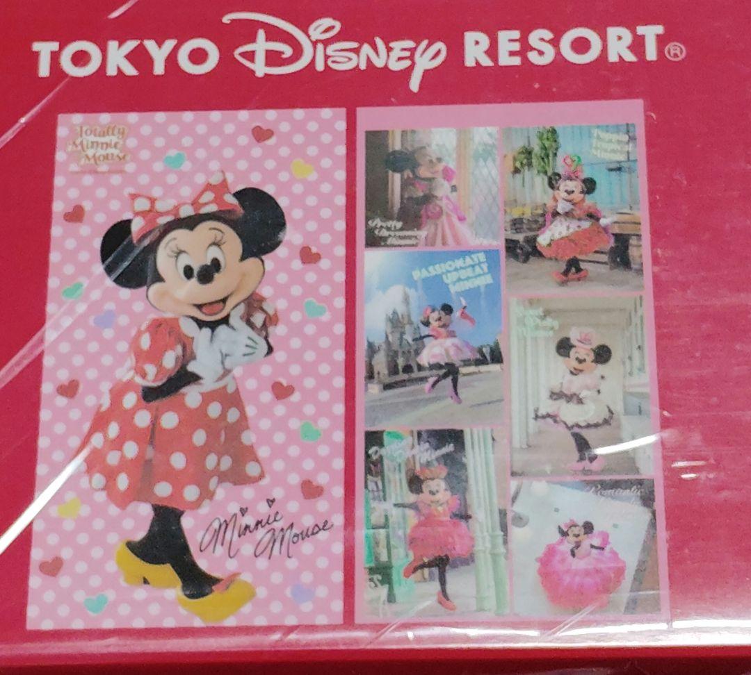 【新品】ミニー　カーテン　トータリーミニー　ディズニーリゾート