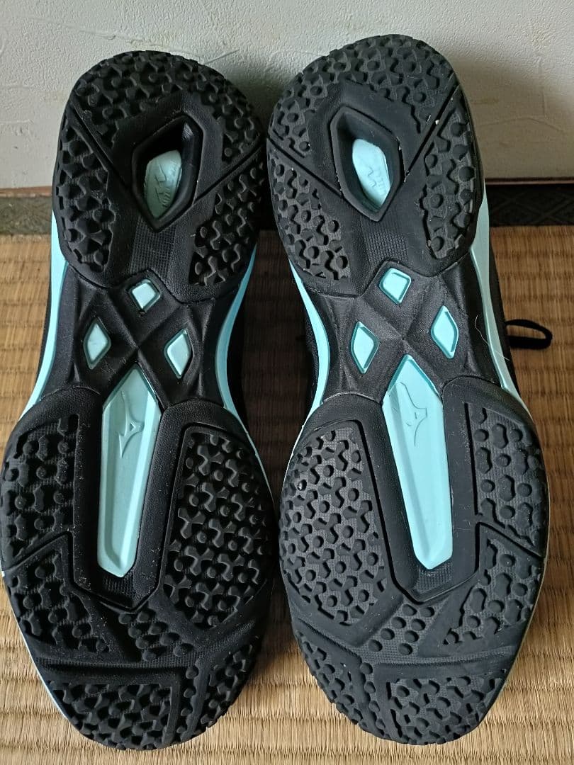 Mizuno ウェーブエクシードコート　オムニクレーコート用