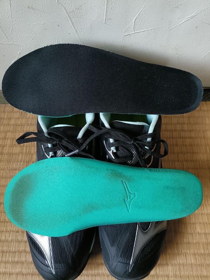Mizuno ウェーブエクシードコート　オムニクレーコート用