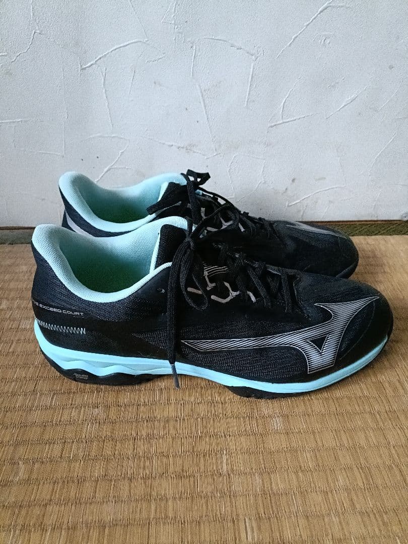 Mizuno ウェーブエクシードコート　オムニクレーコート用