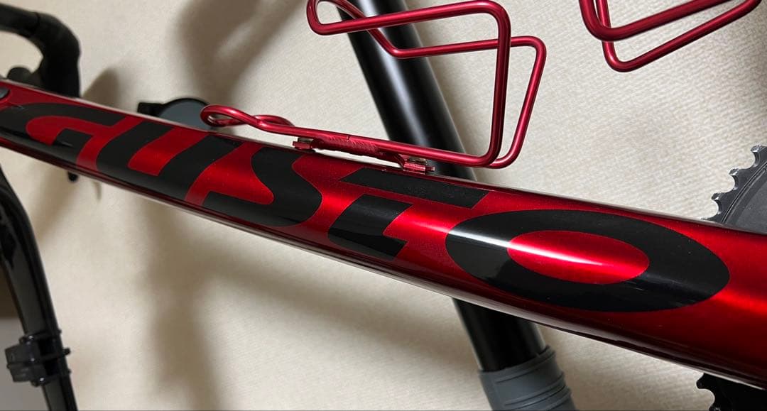 GUSTO RCR DURO SPORT EVO 2019 L(カスタム有り)