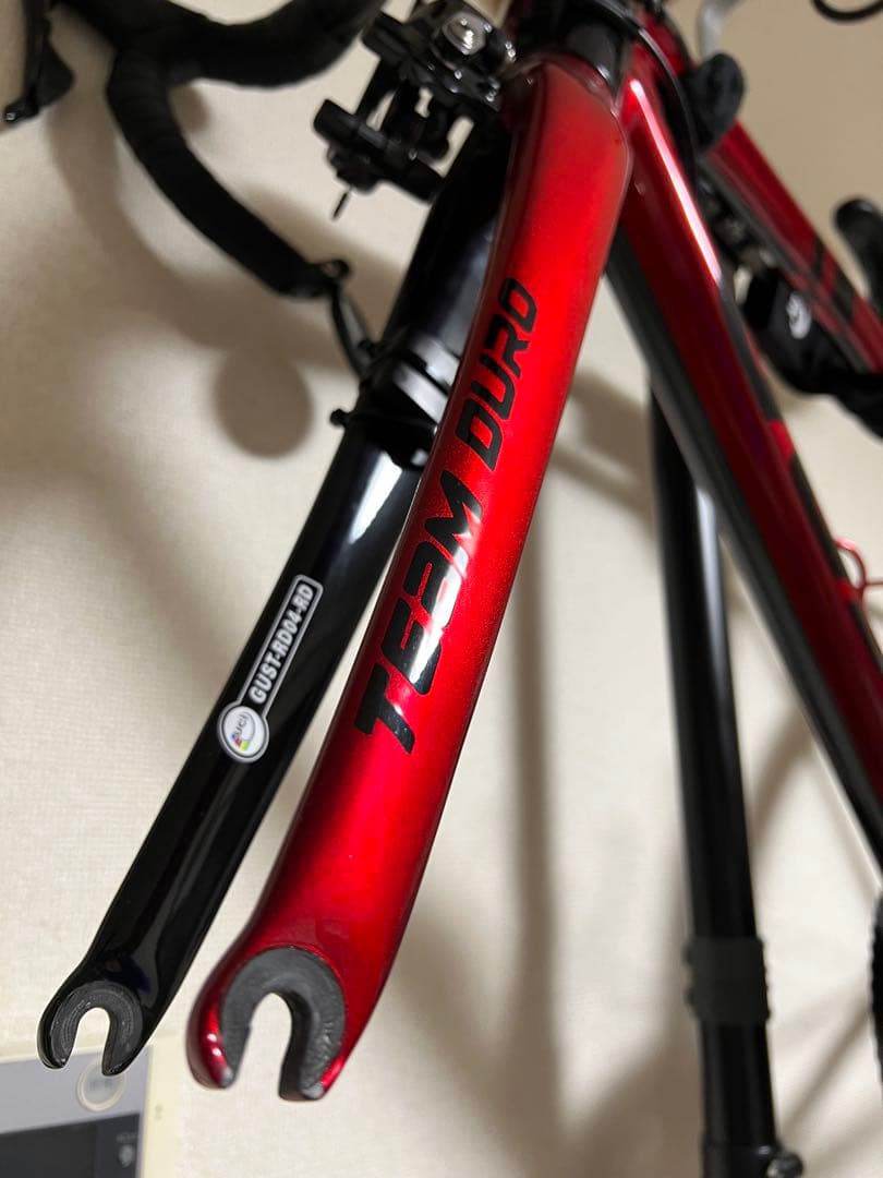 GUSTO RCR DURO SPORT EVO 2019 L(カスタム有り)