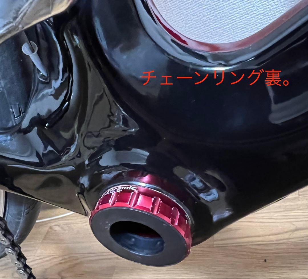 GUSTO RCR DURO SPORT EVO 2019 L(カスタム有り)