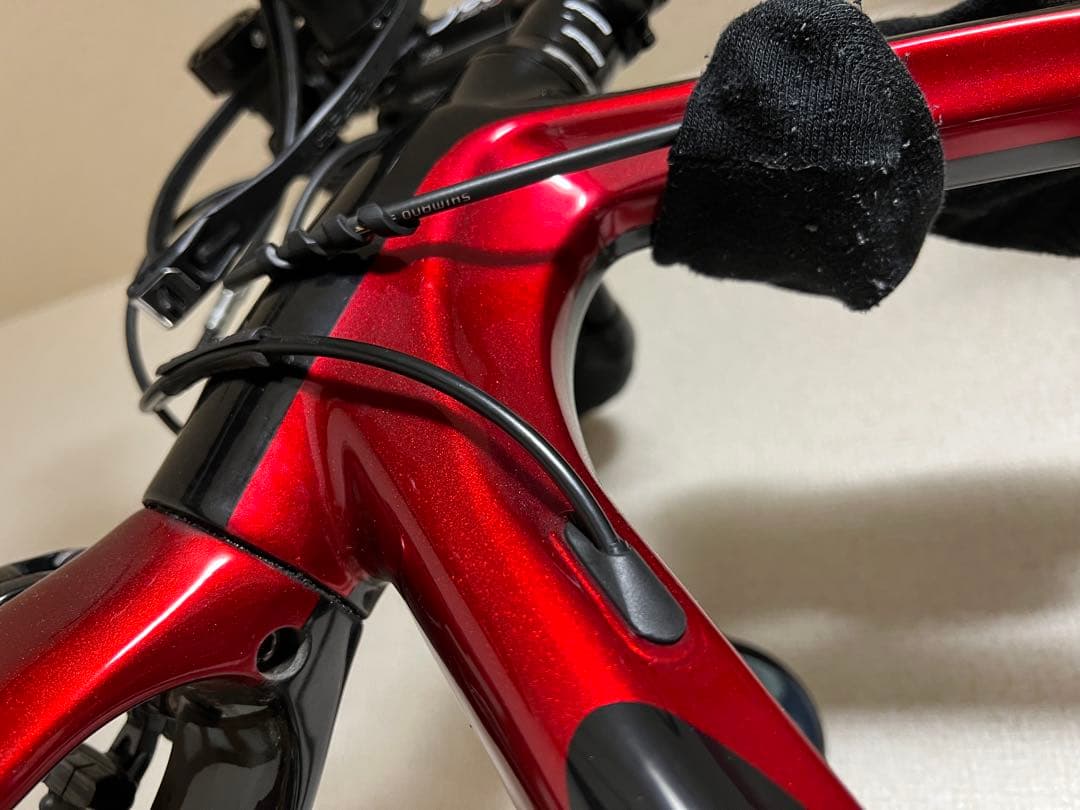 GUSTO RCR DURO SPORT EVO 2019 L(カスタム有り)