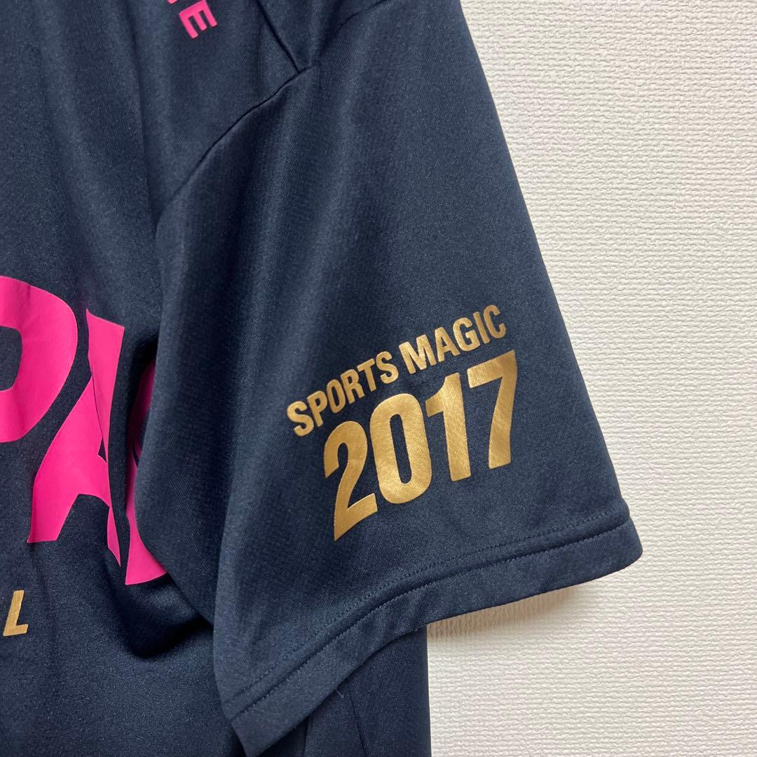 国体 デサント Tシャツ 2枚セット