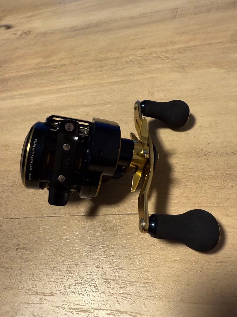 DAIWA SALTIGA IC 100PL-DH 美品