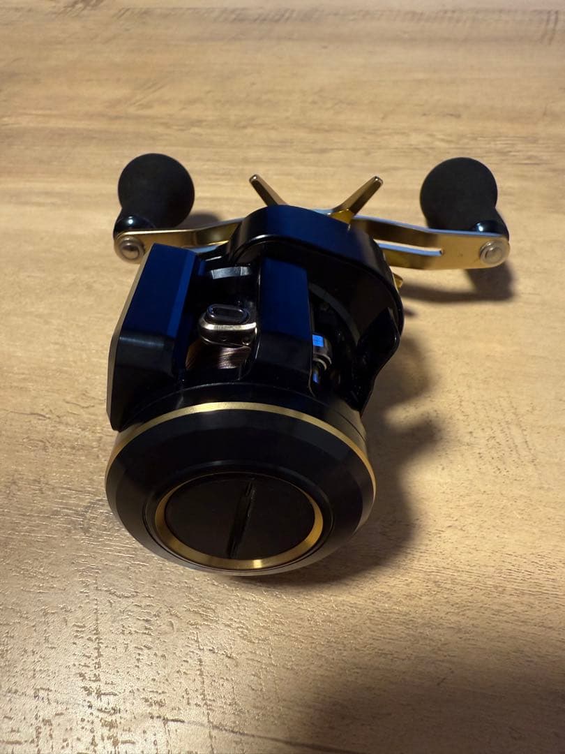 DAIWA SALTIGA IC 100PL-DH 美品