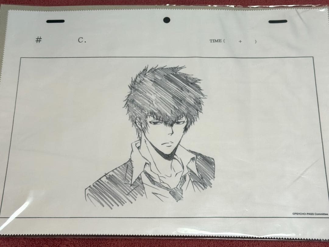 PSYCHO-PASS サイコパス A3 クリーナークロス 狡噛慎也 常守朱