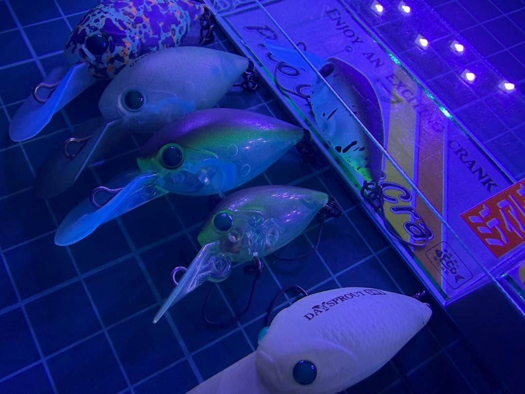 ディスプラウト　チャタクラ　ピコチャタクラ　オオツカオリカラ　ボトムクラピー
