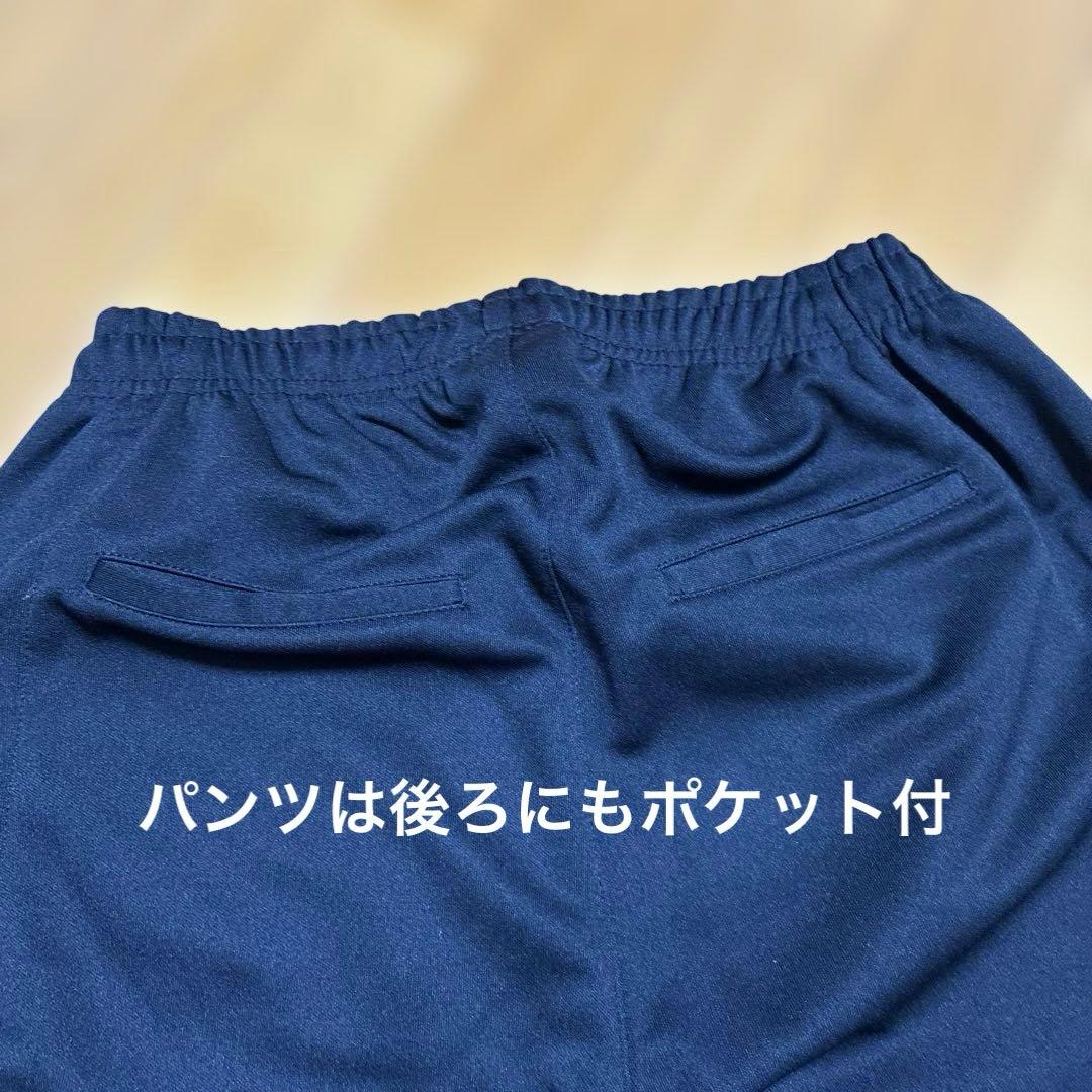 DALPONTE ダウポンチ ジャージ 上下 Mサイズ