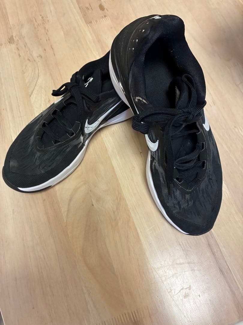 Nike zoom gt cut2 バスケットボール