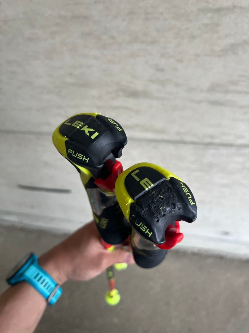 LEKI VENOM SL 110スキーストック
