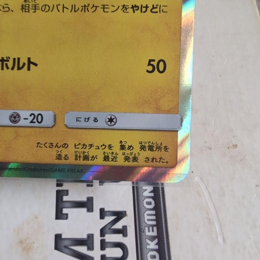 ポンチョを着たピカチュウ2枚セット