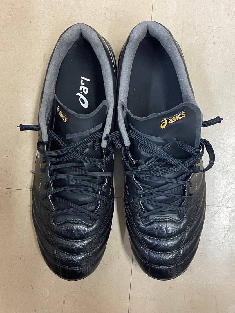 シューズ ASICS DS LIGHT X-FLY 5 28cm