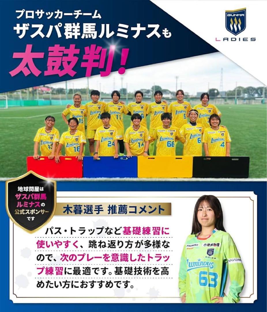 KaRaDaStyle サッカー リバウンドボード 角度調整 反復 ポータブル