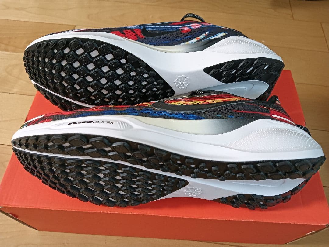 ナイキ ペガサス41 NIKE Pegasus41 25.0