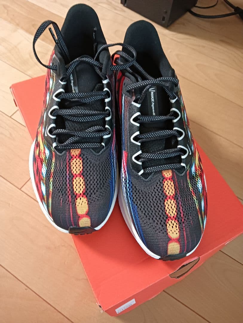 ナイキ ペガサス41 NIKE Pegasus41 25.0