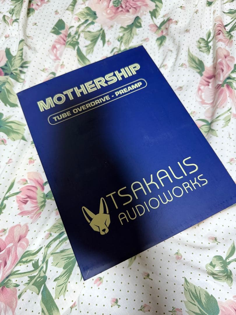 ギター TSAKALIS AUDIOWORKS MOTHERSHIP