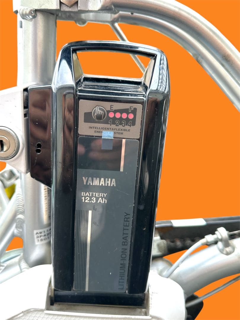 【大阪市周辺限定】電動アシスト三輪車