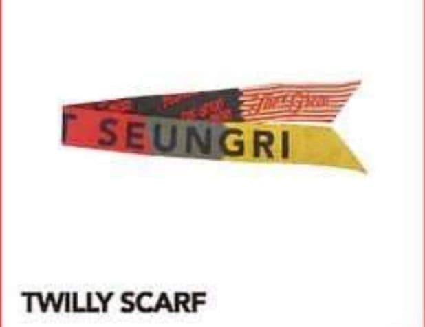 BIGBANG V.I VI SEUNGRI スンリ スカーフ scarf