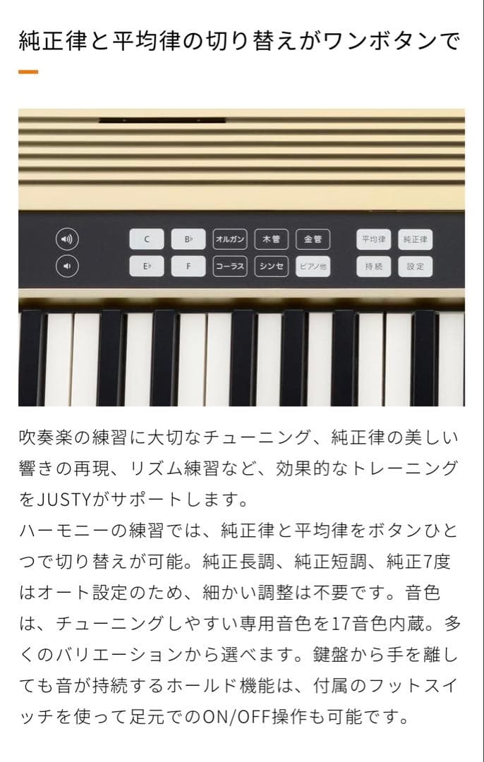 【極美品】JUSTY MK-99 61鍵 ハモデ