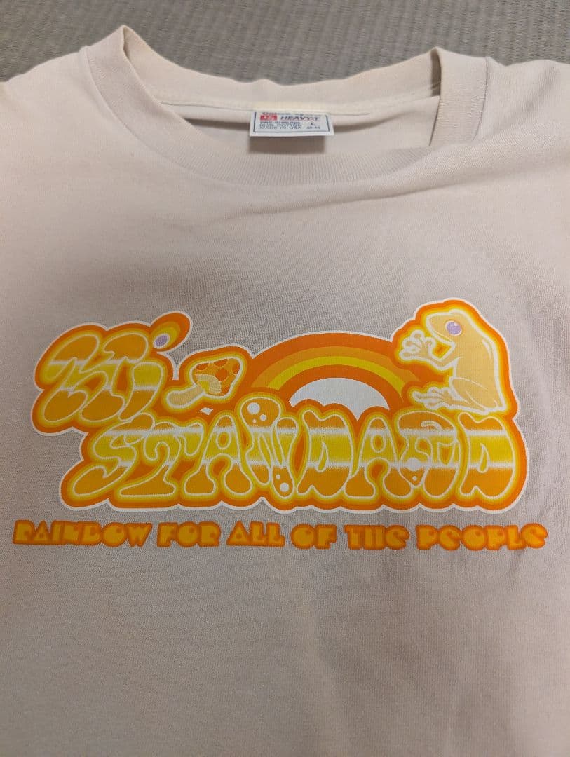 激レア 90s Hi-standard ハイスタTシャツ L USA製