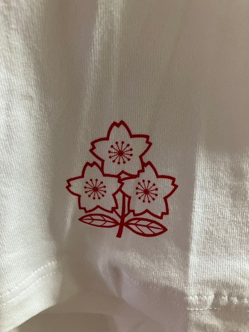 Canterbury 日本代表ラグビー Tシャツ L