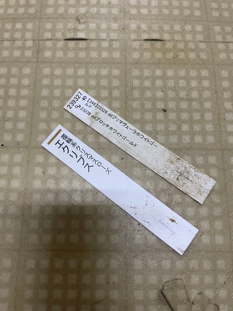 花無し株 26-064 エクリプス 加藤農園 クリスマスローズ 同梱可能