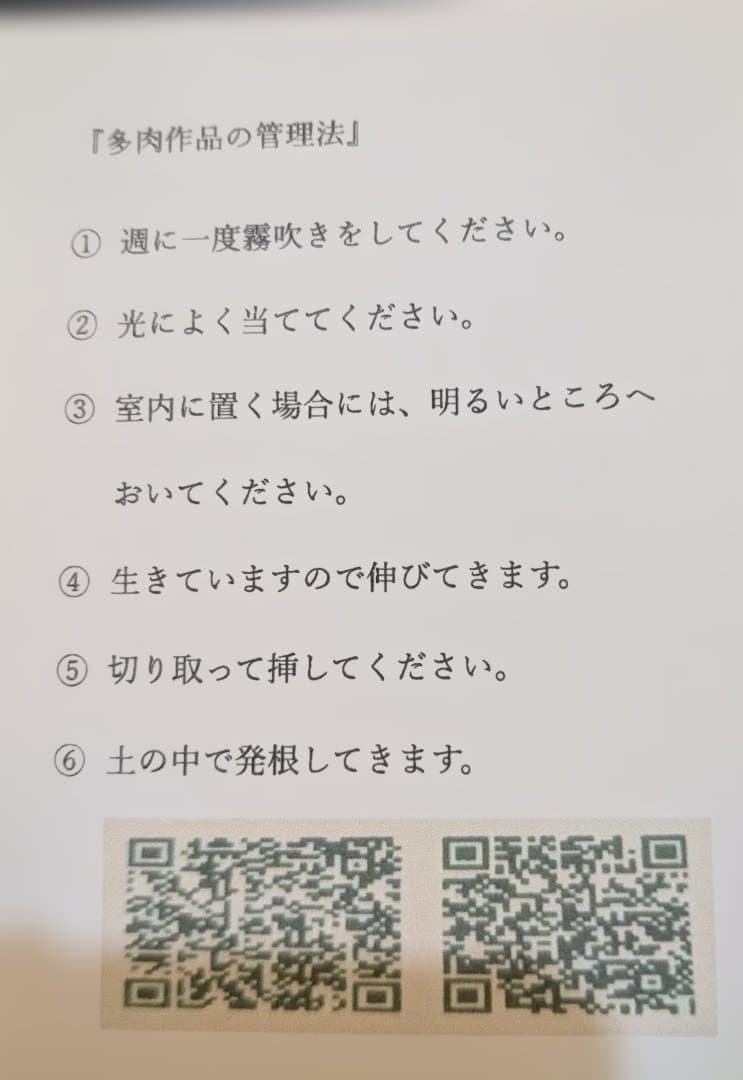 【SORA】