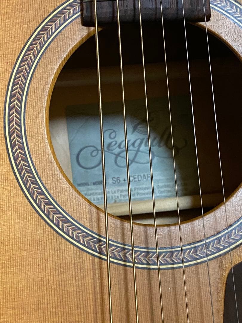 Seagull S6 + CEDAR アコースティックギター