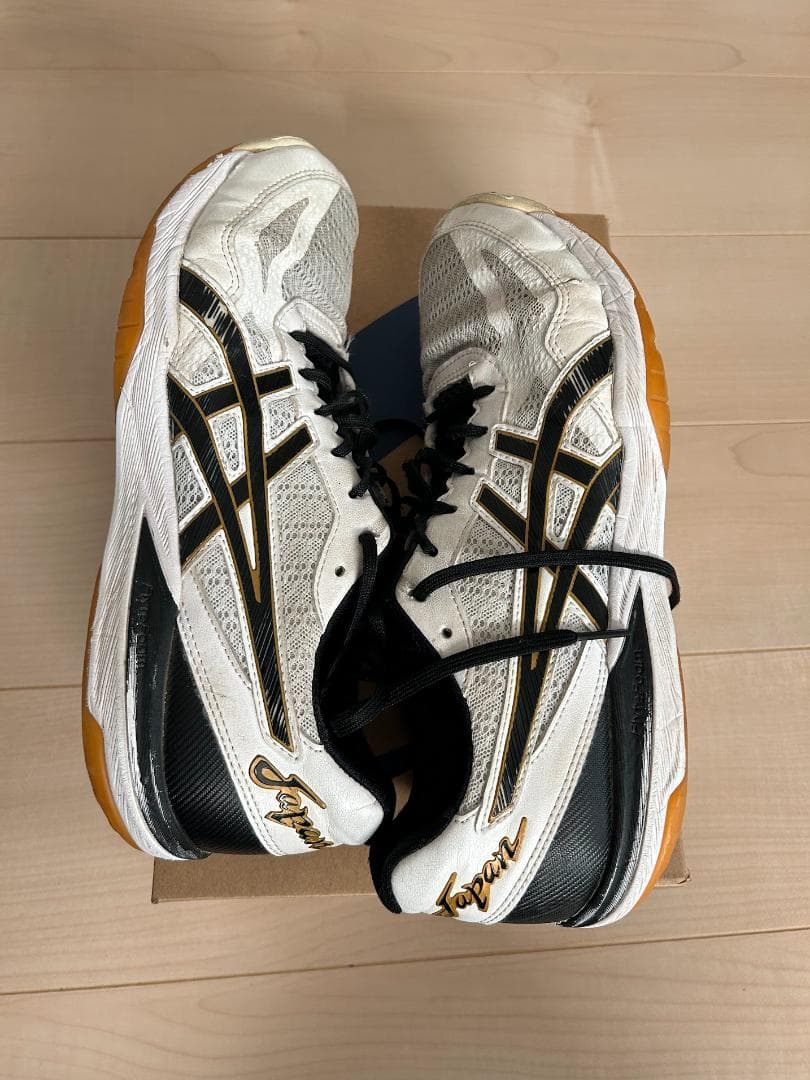 27.5cm アシックス（asics) バレーボールシューズ ローテジャパン
