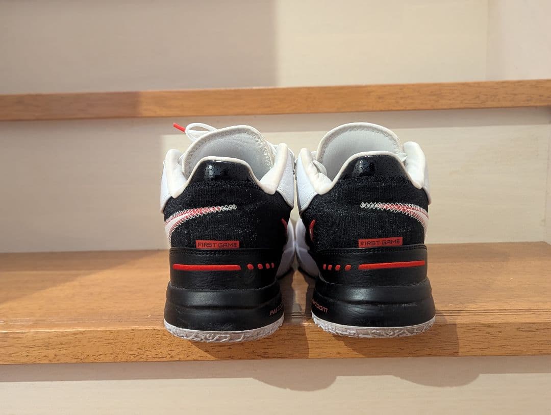 シューズ(男性用) NIKE LEBRON NXXT GEN