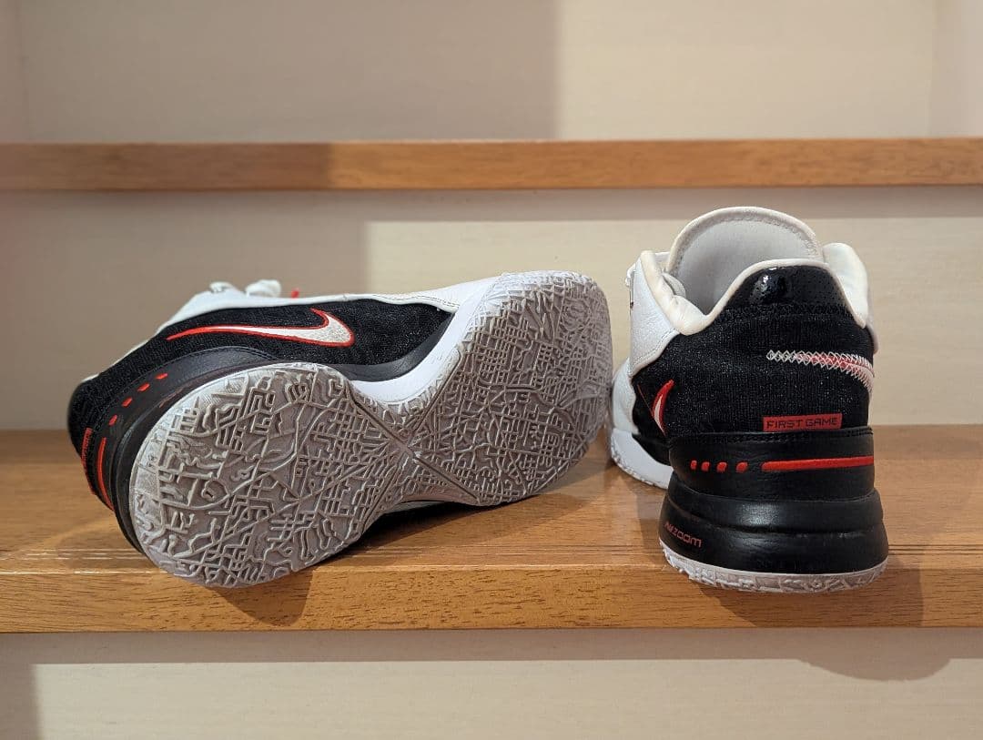 シューズ(男性用) NIKE LEBRON NXXT GEN