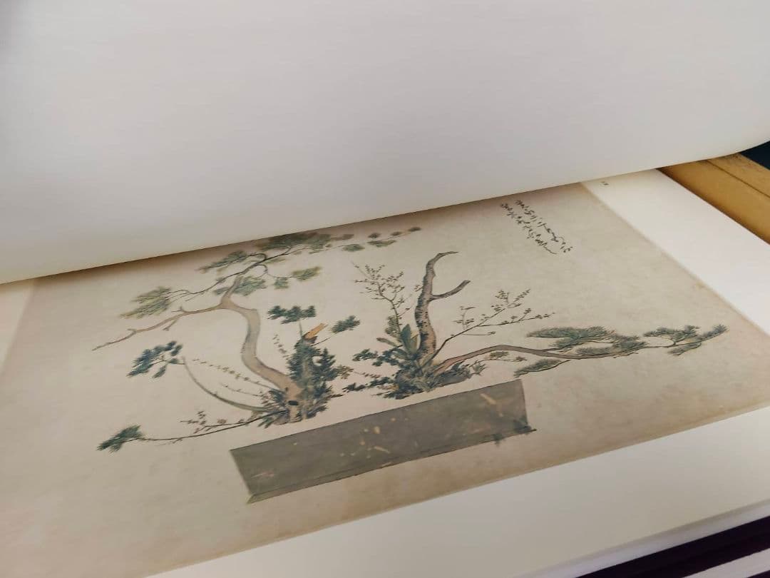 ★池坊専好立花図・重要文化財・曼殊院所蔵/限定700部/定価150000円
