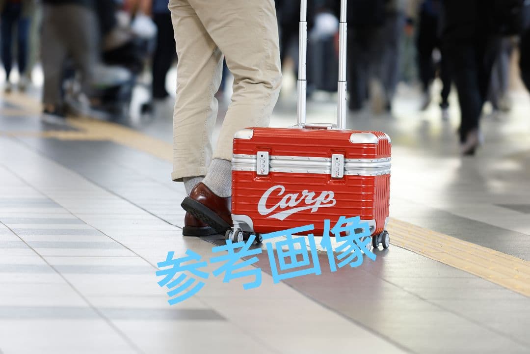 カープパイロットケース！限定完売品！