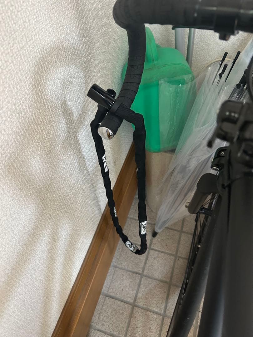 FUJI feather 2023年 49cm フリーギア ピストバイク