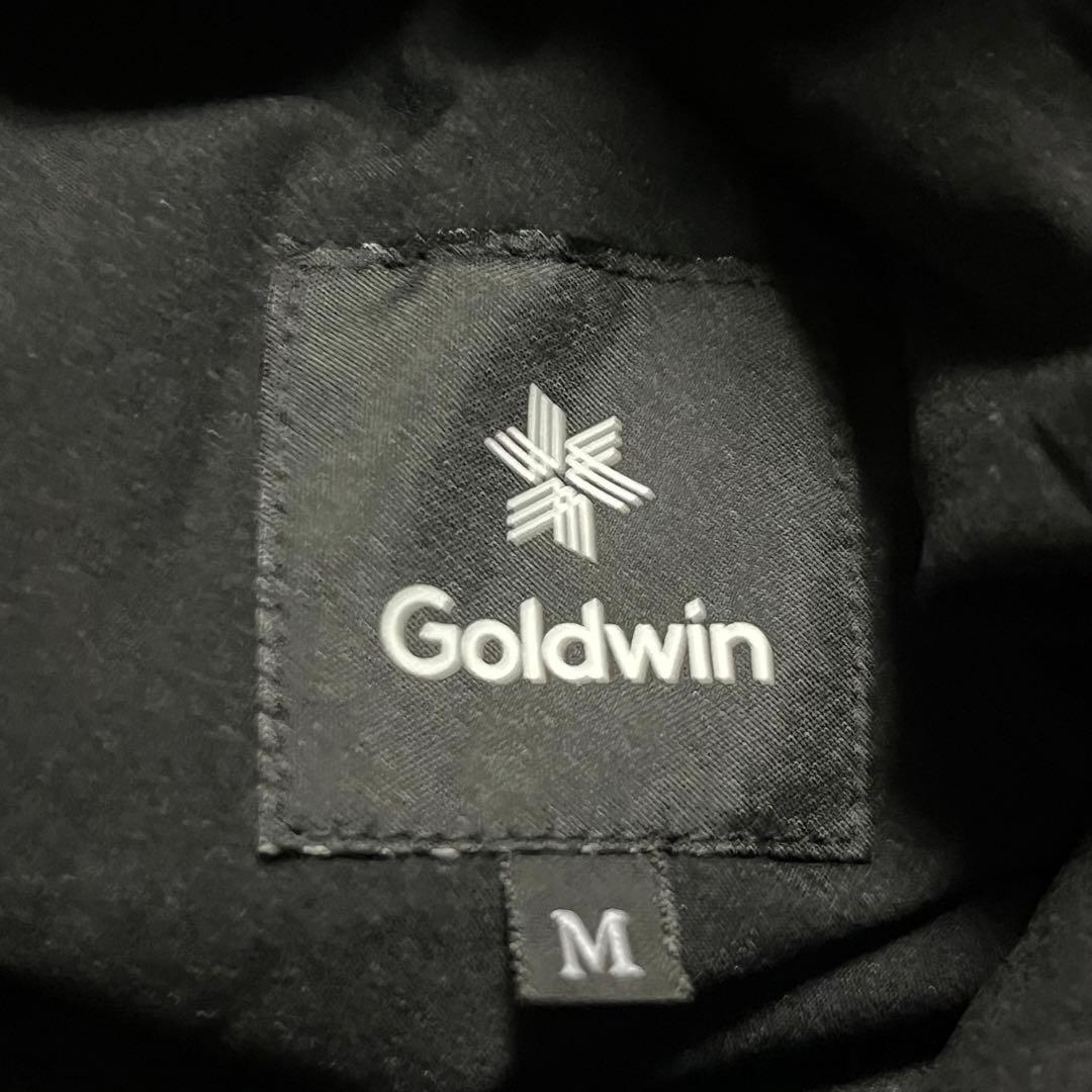スキー・スノーボード  JAPAN GOLDWIN セットアップ M