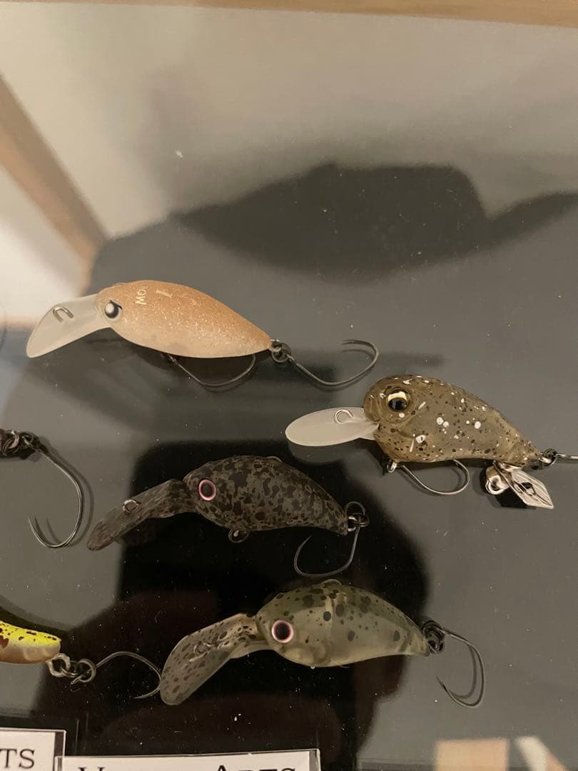 トラウト　ルアー　セット　フォルテ　ゴーレム　モカ